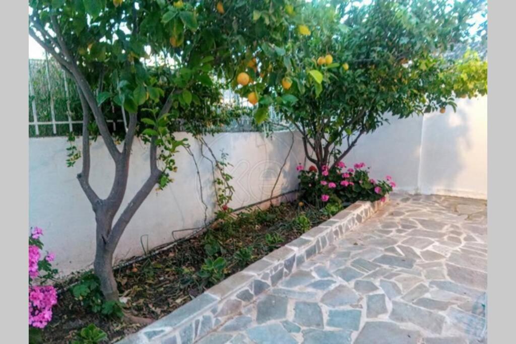 Lagonisi Magic Home Relaxation Kalivia Thorikou Exterior foto